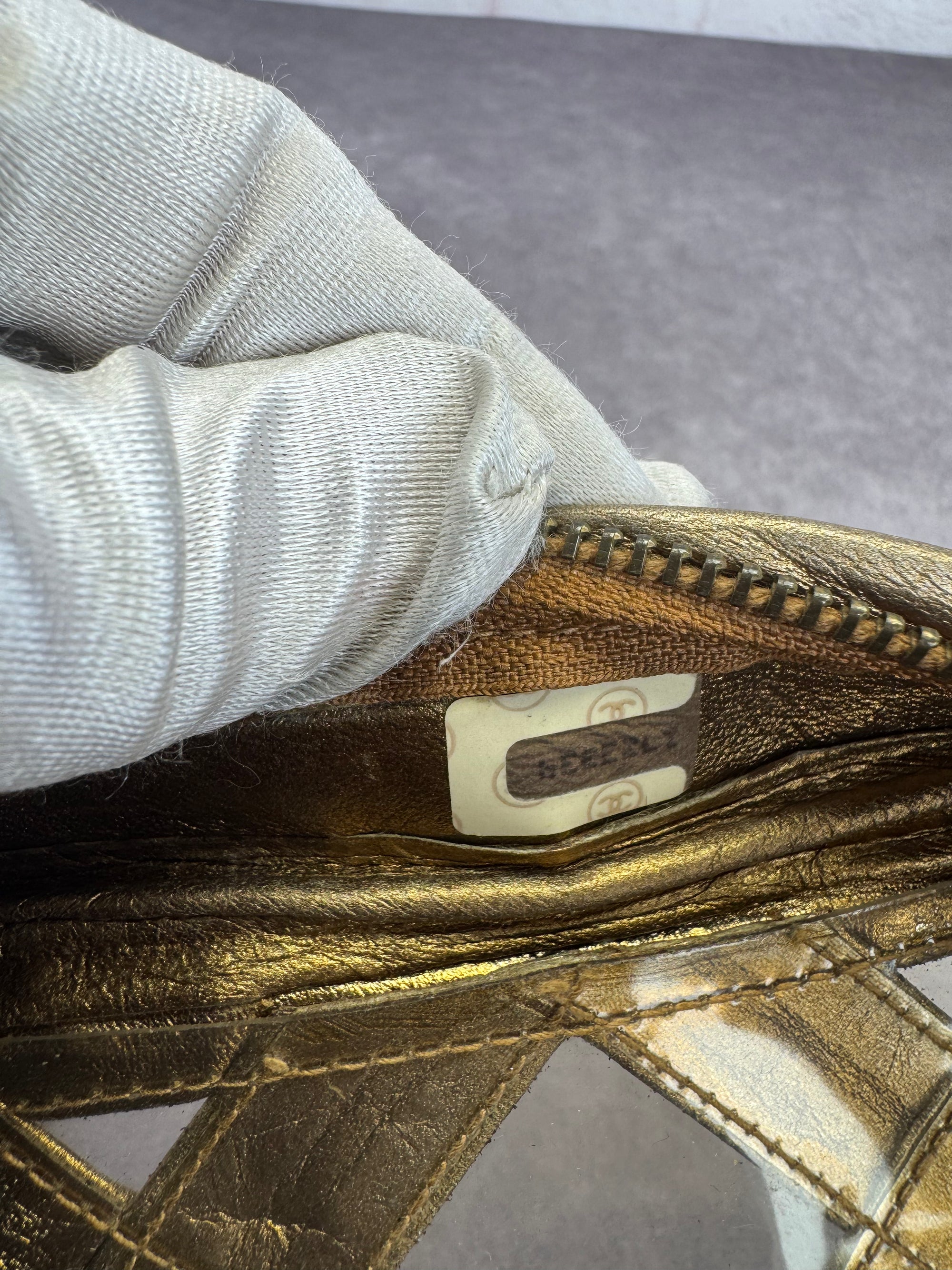 Chanel Metallic Lambskin PVC Tassel Camera Case